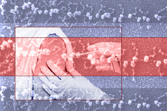Crédito de Foto: Divulgação